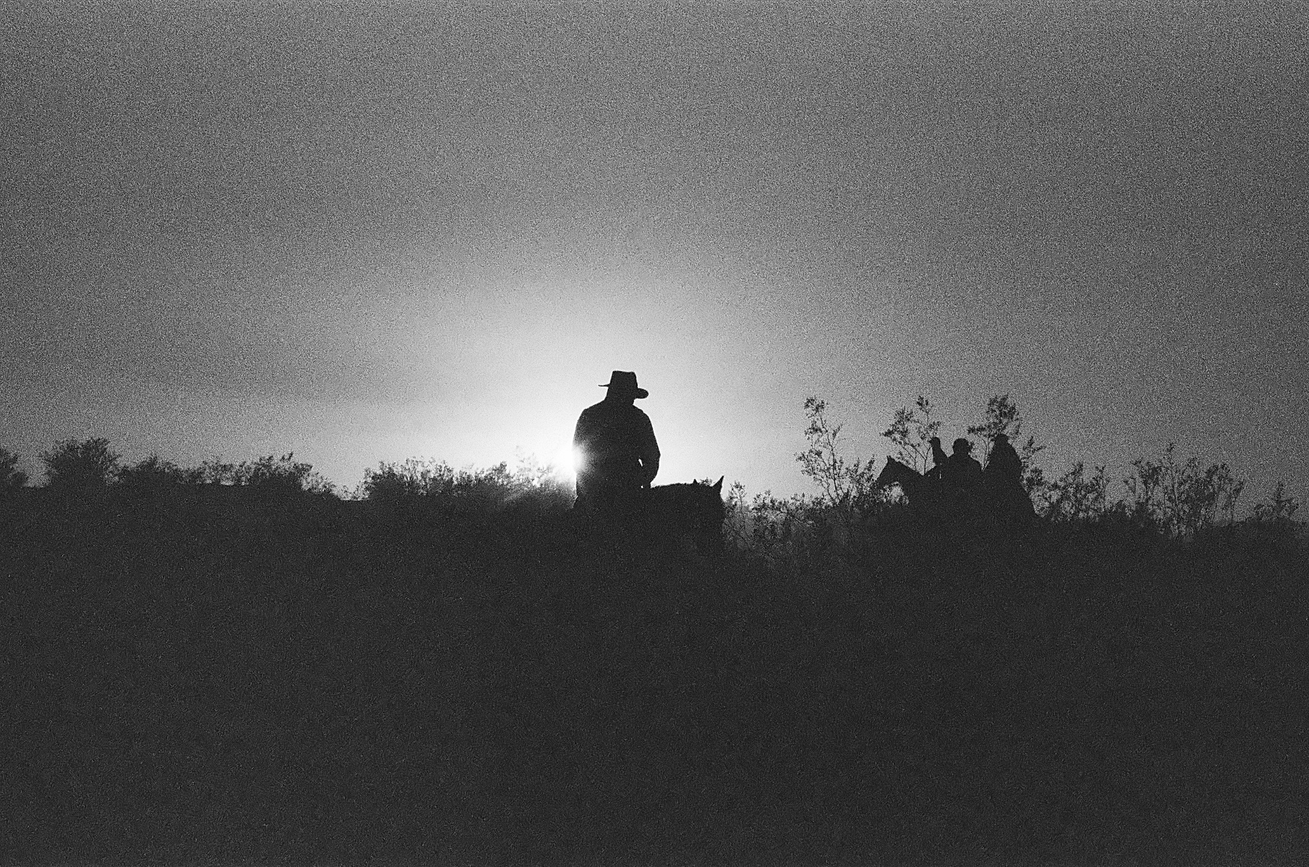 Riders on horseback silhouetted against a low sun, black and white film